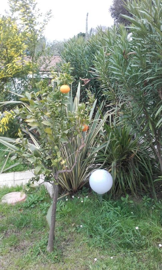 Hotel Clair Logis Argeles-sur-Mer Bagian luar foto